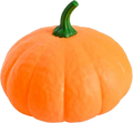 sunny-days-toymendous-jumbo-squishy-pumpkin-halloween-2026-sensory-fidget-toy-in-original-packaging
